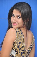 Manisha Gallery